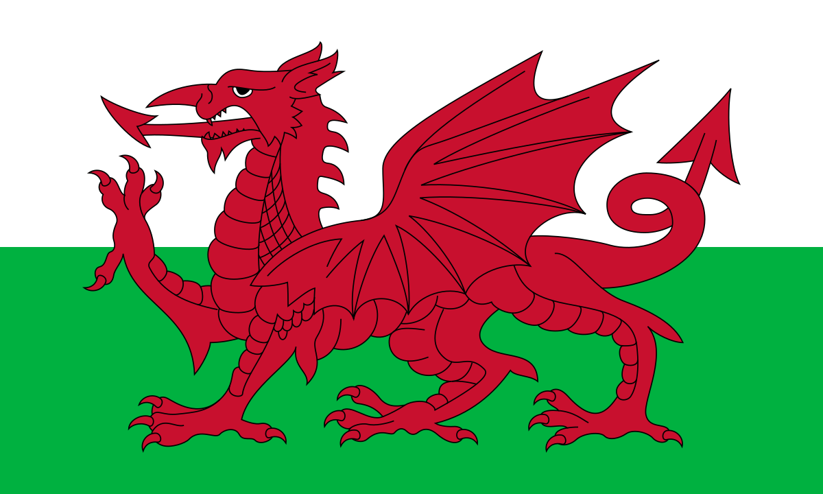 Rugby Wales Forever Cymru Am Byth Welsh Dragon Football Patriotic Bucket Hats